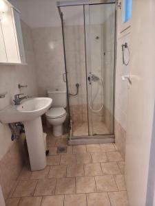 a bathroom with a shower and a toilet and a sink at Deilino - Olive View Studio in Amorgos