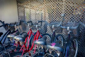 a group of bikes lined up against a wall at Fare Aute Beach in Vaianae