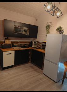 a kitchen with a refrigerator and a counter top at Stacja Roztocze in Majdan Kasztelański