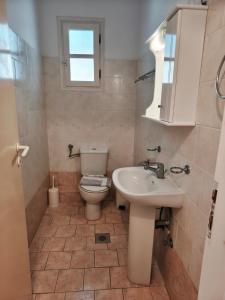 a bathroom with a toilet and a sink at Deilino - Side View Studio in Amorgos