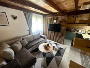 a living room with a couch and a table at Vila Ramonda in Žabljak +37 photos
