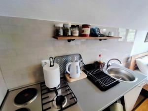 a kitchen counter with a stove and a sink at Apartmani Jelenača prizemlje in Trnovo