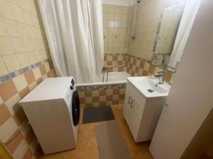 a small bathroom with a sink and a washing machine at Kosbor apartman in Igricetanya +4 photos