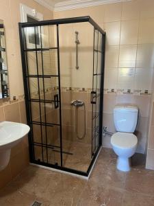 a bathroom with a shower with a toilet and a sink at HAS HOME NOZBARt in Pelitli +110 photos
