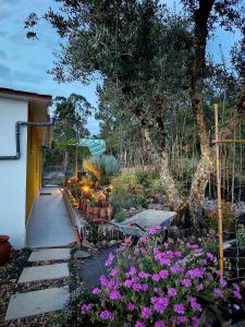 a garden with purple flowers and a pathway at Studio in Barbéns, Miranda do Corvo - Casa 99 in Miranda do Corvo