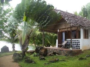 a small house with a palm tree in front of it at Hôtel La Baleine in Sainte Marie