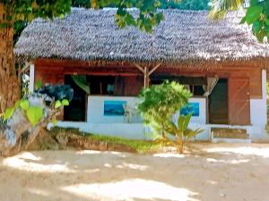 a house with a straw roof on a beach at Hôtel La Baleine in Sainte Marie