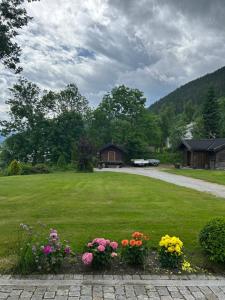 a yard with flowers in front of a house at Liten hytte i Tinn in Notodden