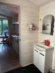 a small kitchen with a sink and a table at МріяТИ in Verkhovyna