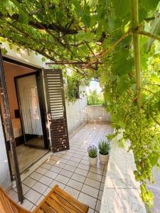a patio with potted plants and an open door at Danilo Room in Pula