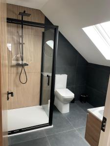 a bathroom with a toilet and a shower and a sink at Skellig Bliss in Valentia Island +7 photos