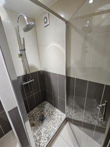 a shower with a glass door in a bathroom at Ma p'tite maison in Fumay
