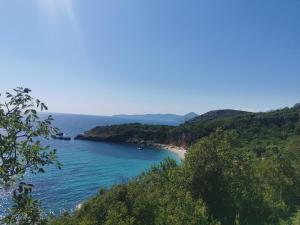 a view of a beach with trees and the ocean at Apartman Alba in Petrovac na Moru