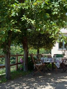 a picnic table and chairs under a tree at Villa Linda in Schio