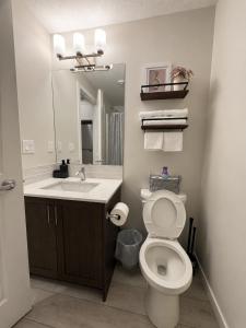 a bathroom with a toilet and a sink and a mirror at Cozy Private 1BR Basement Suite in Calgary +14 photos