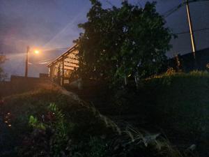 a house at night with a tree and a street light at Le Cuprum in Le Robert