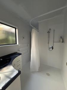 a bathroom with a shower and a sink at Seaside At Stephens Bay in Kaiteriteri +40 photos