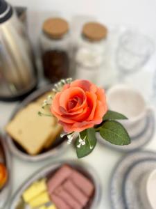 a orange rose sitting on a table next to cookies at São Gabriel Centro Studios & Suítes in São Gabriel