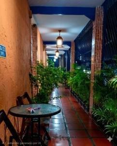 a patio with a table and some plants at Posada Doña Alcinda in Catia La Mar