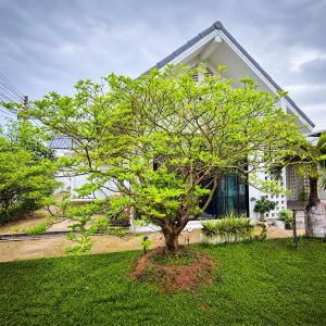 a tree in a yard in front of a house at Home No 5 in Ratchaburi