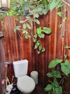 a toilet sitting in front of a wooden fence at Mucajá Glamping com charme a poucos passos da Ilha in Alter do Chao