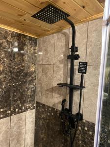 a shower with a shower head in a bathroom at Silumetras in Ventspils +115 photos
