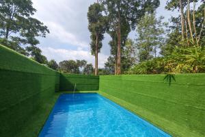 a swimming pool with a green fence and trees at Misty D Silver in Munnar