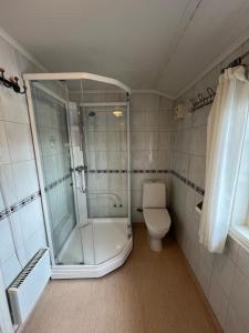 a bathroom with a shower and a toilet at Skjevlingsnes sjøhus in Tingvoll
