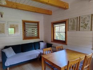 a living room with a couch and a table at Chatka w gorach in Lewin Kłodzki