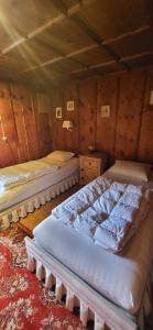 a bedroom with two beds in a room at Casa Silvia in Promontogno