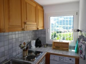 kuchnia ze zlewem i oknem w obiekcie Apartment in Disentis with Garden BBQ Views w mieście Disentis