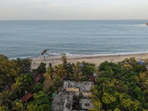 an aerial view of a beach with palm trees at Golden Breeze Arugambay in Arugam Bay +33 photos
