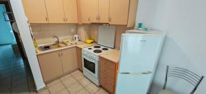 a small kitchen with a white refrigerator and a sink at Argiro studios in Flogita +8 photos