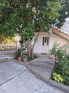 a house with a tree in front of it at Apartman Leka in Donji Bogdašići