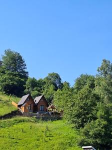 a house on top of a hill with trees at Vikendica Neven 3 in Popovići