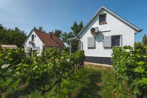 a white house with a bunch of vines at Bleicher Borbirtok in Balatonkeresztúr