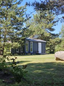 a tiny house in the middle of a yard at Vasarnieki 24 in Ziemupe +12 photos