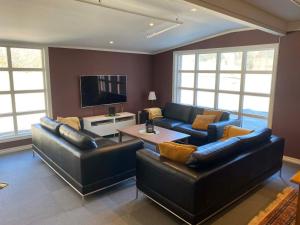 a living room with two leather couches and a tv at Austbø Hotell in Rauland
