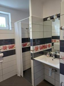 a bathroom with a shower and a sink at Napolá apartman in Balatonalmádi