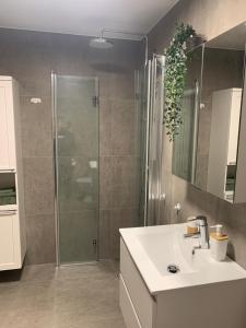 a bathroom with a shower and a sink and a sink at Mysig lägenhet Malmö Centralt in Malmö +20 photos