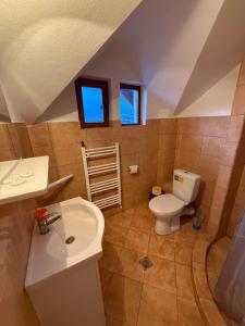 a bathroom with a toilet and a sink at Gold Fayen House Cheile Turului in Tureni +29 photos