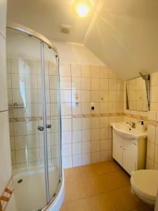 a bathroom with a shower and a toilet and a sink at Apartamenty & Domek Gawędówka in Krościenko +36 photos