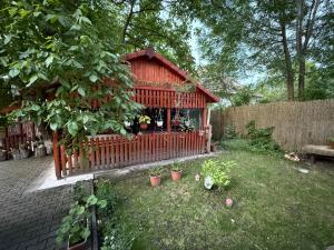 a small garden with a smallshed with plants in it at Gold Fayen House Cheile Turului in Tureni