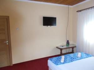 TV a/nebo společenská místnost v ubytování Guesthouse Feel Lake