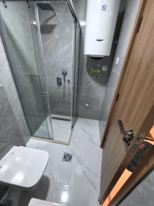 a bathroom with a shower and a toilet and a sink at Eclipse Luxury Suite in Šušanj