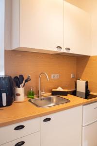 a kitchen with a sink and a counter top at Gaia Trikeri Suites in Ayía Kiriakí +7 photos