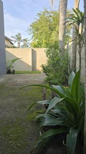 a garden with palm trees and plants next to a building at 52 on 2nd Self-catering accommodation in Gonubie Park