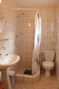 a bathroom with a shower with a toilet and a sink at Dworek in Swarzewo +26 photos