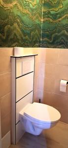a bathroom with a white toilet in a room at Logement entier RDC quartier historique Parthenay in Parthenay