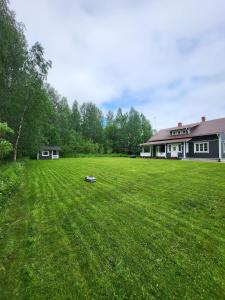 a large yard with a house and a building at Treeline Cottage in Rovaniemi